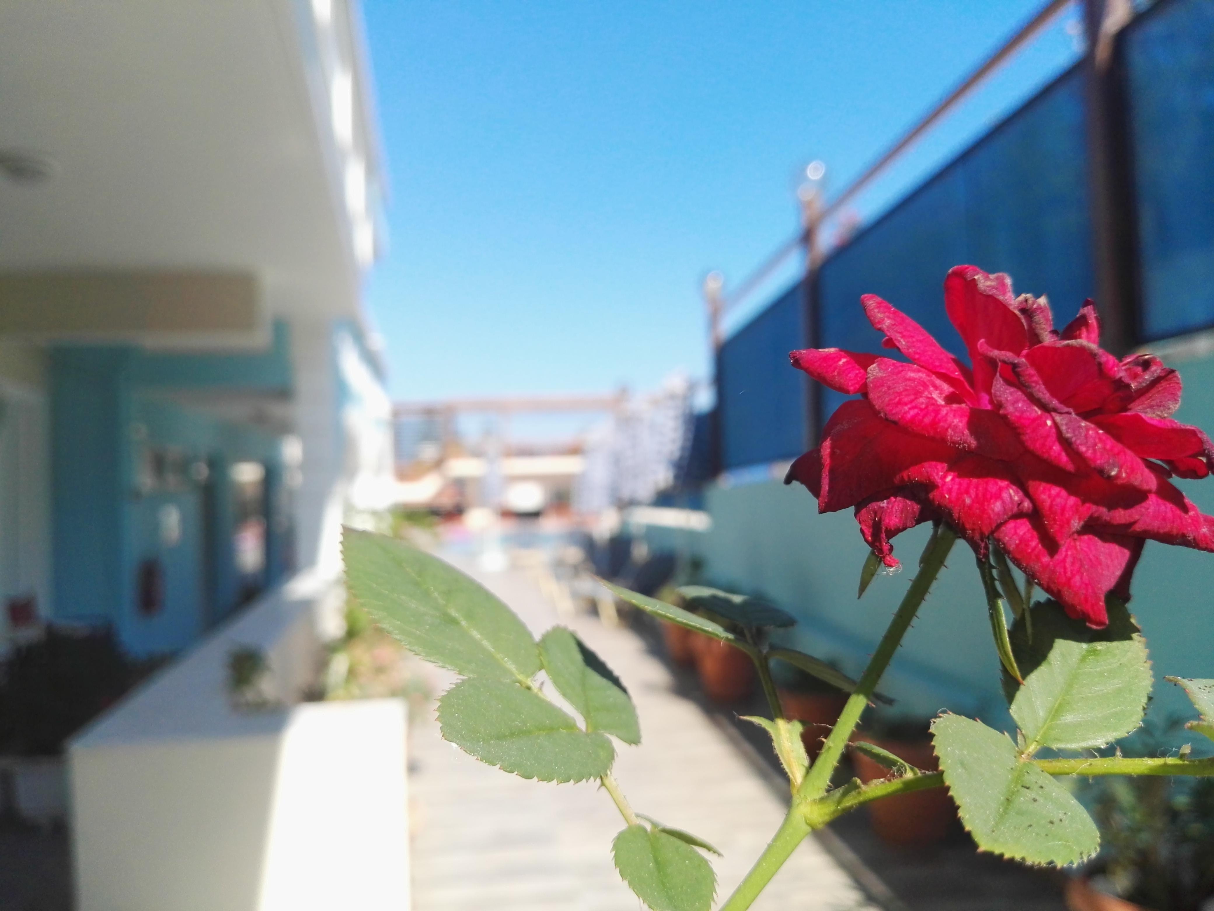 Epis Hotel Agia Marina Exterior foto